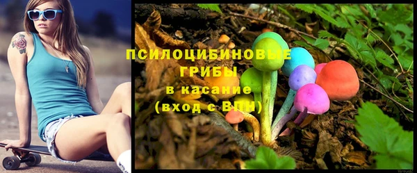spice Алексин